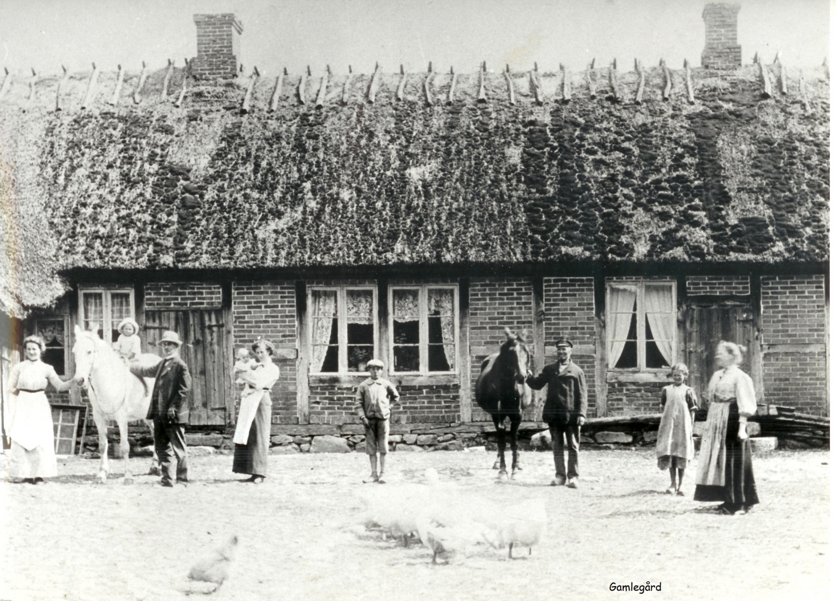 Gamlegård på foto från 1910. I boken "Billinge - från by till samhälle" beskrivs fotot så här: "Framför längan i tegelkorsvirke ses Parker Lilja i vit sommarhatt. På Per Pers vita häst sitter sonen Nils, medan fru Lilja bär minstingen Gunnar. Per Persson själv håller den bruna hästen medan hans syster Matilda övervakar det hela. Flickan bredvid henne kan vara den 13-åring, som tillsammans med vaktpojken mitt i bilden ska ha vistats på gården 1909-1910 och hållit varandra i handen när Haleys komet passerade". Foto från Gamlegårds arkiv.
