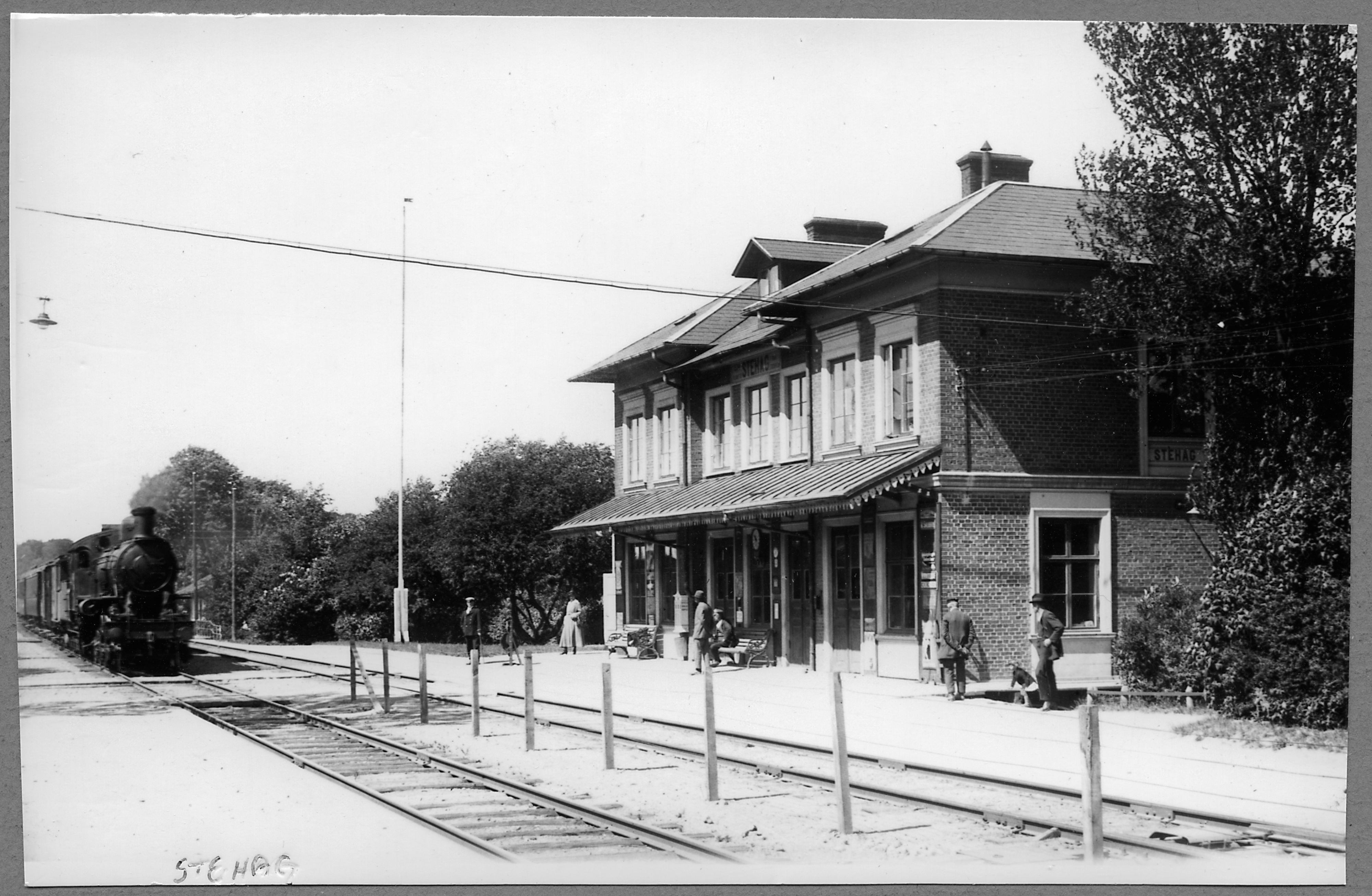 Lok med t&aring;g vid Stehags station 1925. K&auml;lla: digitaltmuseum.se/J&auml;rnv&auml;gsmuseet.