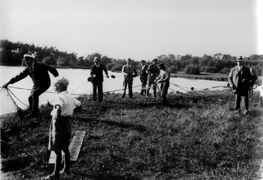 Utrensning av skräpfisk i Trollsjön, 1930-tal. Foto: Fotohuset i Eslöv