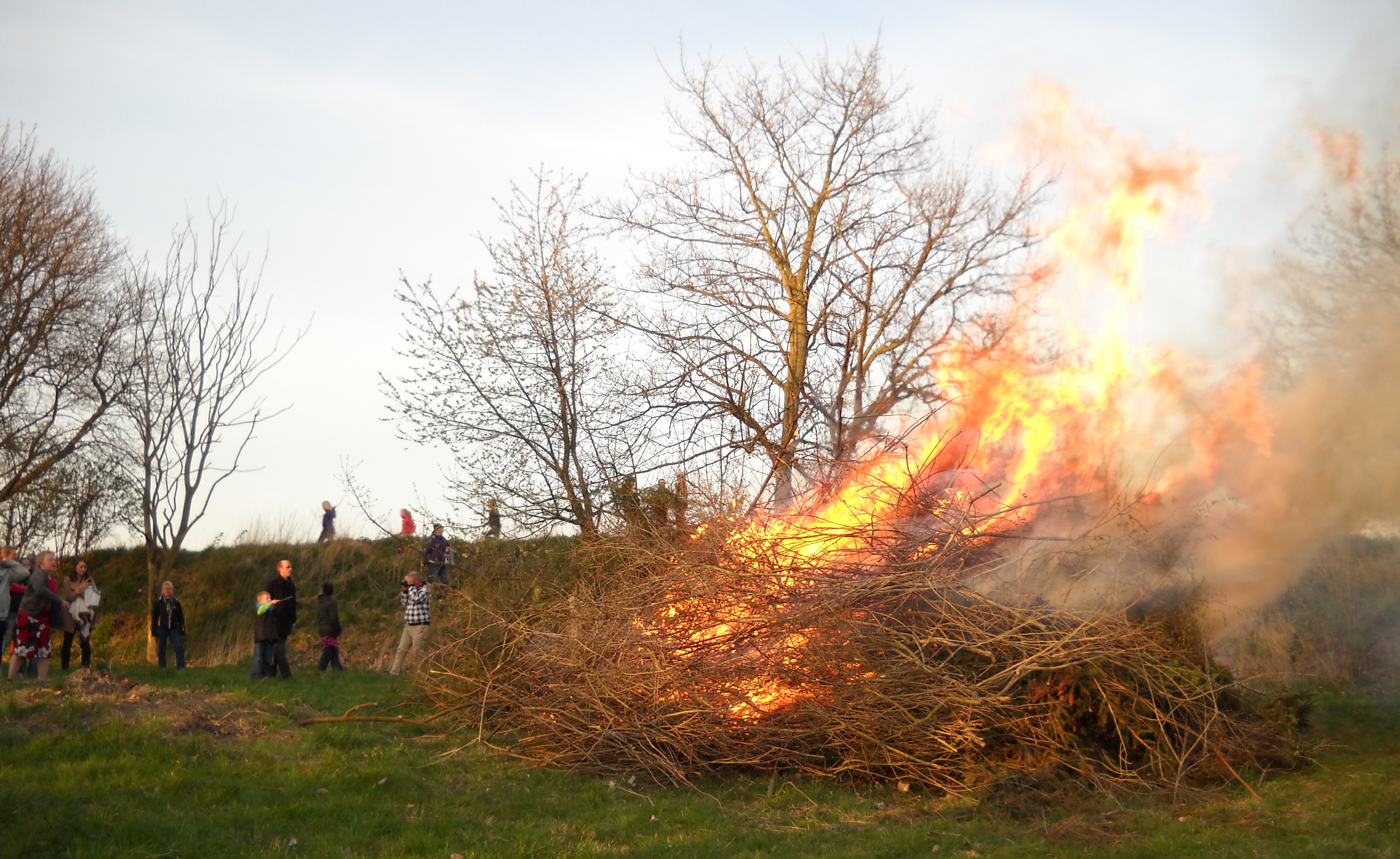 Valborg vid ankdammen i Marieholm 2012