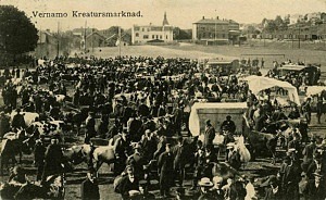 Vi saknar foto på Stadsparken när det var kreaturstorg. Bilden ovan är ett vykort från Värnamo daterat 1912. Antagligen såg kreatursmarknaden i Eslöv ut på liknande sätt.