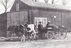 Lastning av kolsäckar på bangårdsområdet på 1910-talet.Vid korna en lantbrukare Klang från Håstenslöv. Mannen i mitten som senare hade ett småbruk intill dåvarande Reslövs ålderdomshem. En period extra polis.